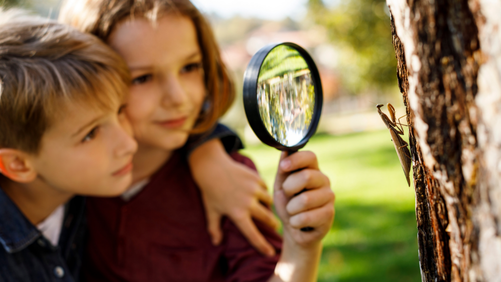 Diseño sin título (28)