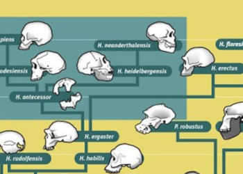Diseño sin título (55)