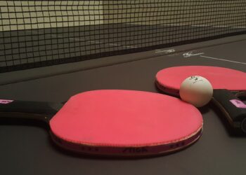 ping-pong-1205609_1280